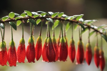 肇庆广宁私人快速借钱网，轻松解决资金难题