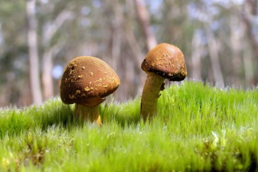 肇庆广宁私人老板放款：轻松融资的秘密通道